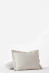 Coyuchi Refined Organic Percale Sham In Gray
