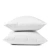 Coyuchi Organic Cotton Percale King Pillowcase, Pair