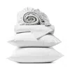 Coyuchi Refined Percale Sheet Set, Queen In White