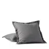 Coyuchi Relaxed Linen Euro Sham In Blue