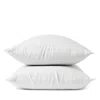 Coyuchi Relaxed Linen Standard Sham In White