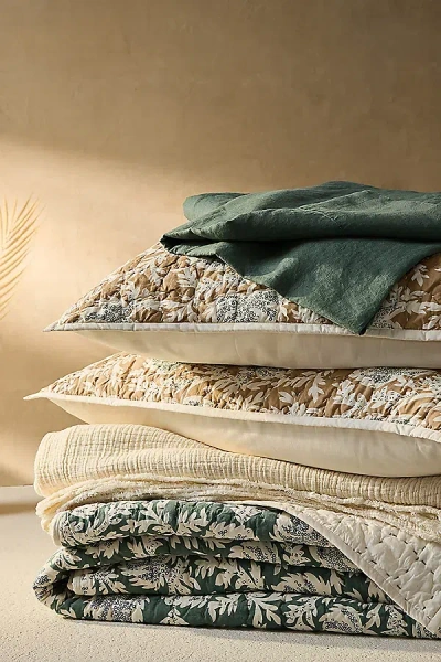Coyuchi Robles Handstitched Organic Quilt In Multi