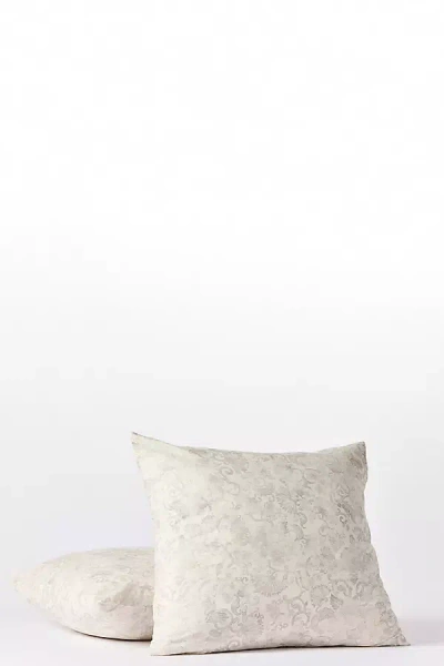 Coyuchi Solana Organic Print Euro Sham In White