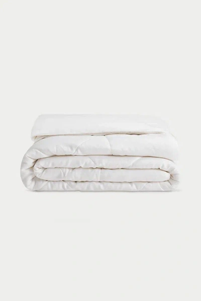 Cozy Earth All Season Quilted Comforter In White