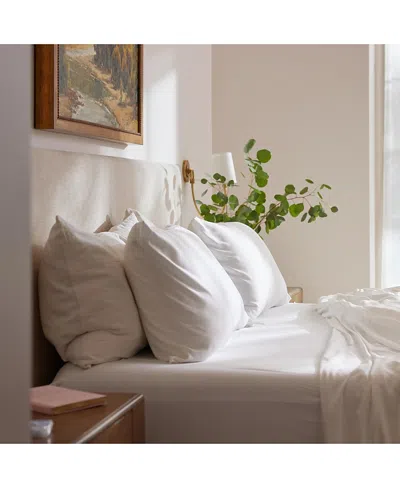 Cozy Earth Sheet Set, California King In White
