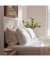 Cozy Earth Sheet Set, Twin In White