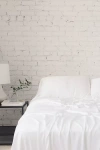 Cozy Earth Winter Weight Viscose From Bamboo Comforter