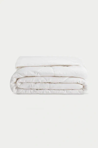 Cozy Earth Winter Weight Quilted Comforter In White
