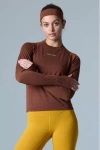 Cozy Zero Tech Merino Classic Fit Long Sleeve Top In Cappuccino