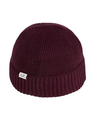 C.p. Company C. P. Company Man Hat Plum Size Onesize Virgin Wool, Polyester In Burgundy