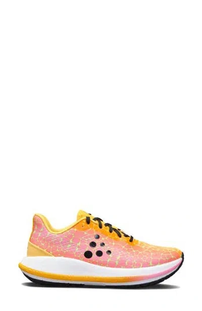 Craft Pacer Running Shoe In Multi