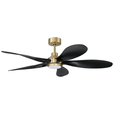 Craftmade 52" Ceiling Fan In Black
