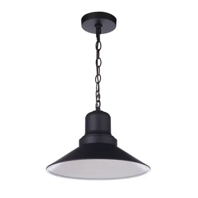 Craftmade Black 1-bulb 16.75" H Outdoor Pendant