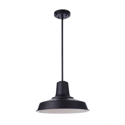 Craftmade Black 1-bulb 9.44" H Outdoor Pendant
