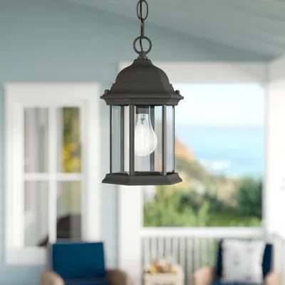 Craftmade Frederica 1 -bulb 11" H Outdoor Hanging Lantern In Matte Black