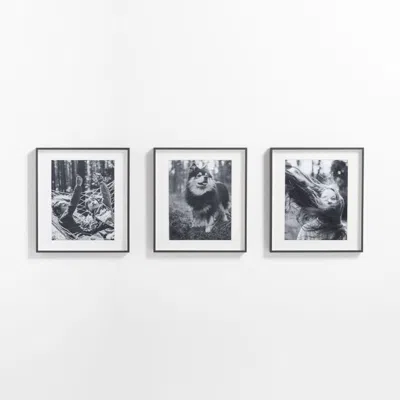 Crate & Barrel 3-piece Brushed Black 11x14 Gallery Wall Frame Set