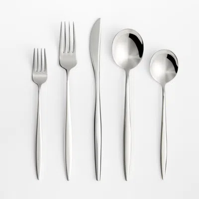 Crate & Barrel Constantin Mirror 20-piece Flatware Set In Silver