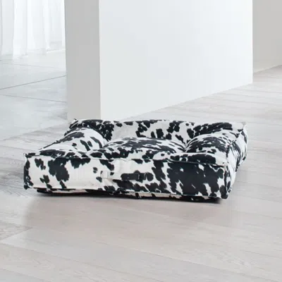 Crate & Barrel Piazza Large Wrangler Tufted Dog Bed In White