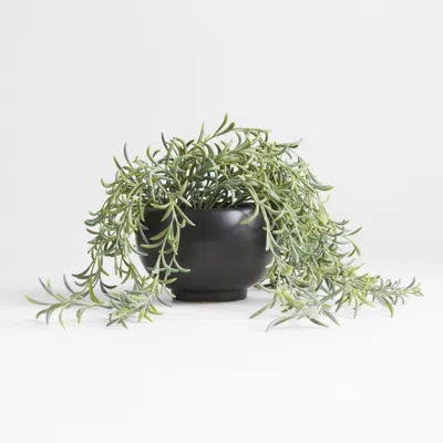 Crate & Barrel Potted Faux Green String Of Fishhooks In Black Pot In Multi