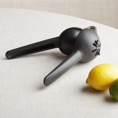 Crate & Barrel Rabbit ® Citrus Juicer In Black