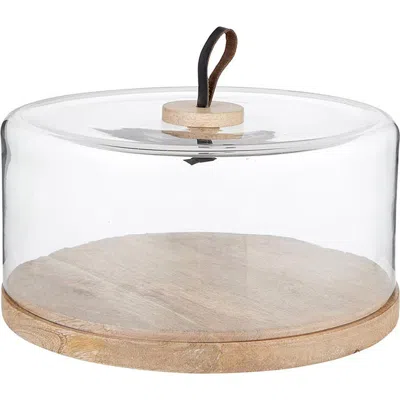 Creative Brands Modern Cake Stand With Lid In Transparent