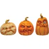 Creative Co-op Set Of 3 Pumpkins Decor In Brown