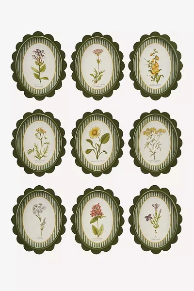 Creative Co-op 9-piece Oval Wood-framed Wall Charms In Green