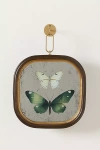 Creative Co-op Frame Antique Butterfly Wall Decor