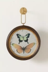 Creative Co-op Frame Antique Butterfly Wall Decor