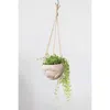 Creative Co-op Hanging Resin And Cement Planter In Cream