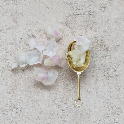 Creative Co-op Stainless Steel Scoop In Gold