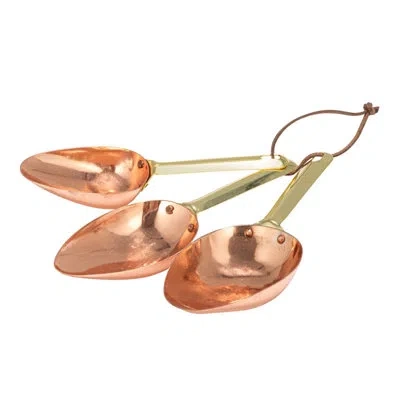 Creative Co-op Stainless Steel Scoops With Leather Tie In Multicolor