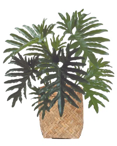 Creative Displays 2.5ft Philodendron Plant With Bamboo Planter In Green