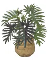 Creative Displays 2.5ft Philodendron Plant With Bamboo Planter In Green