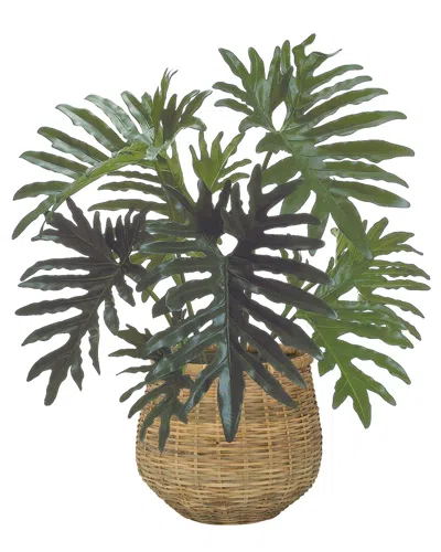 Creative Displays 2.5ft Philodendron Plant With Bamboo Planter In Green