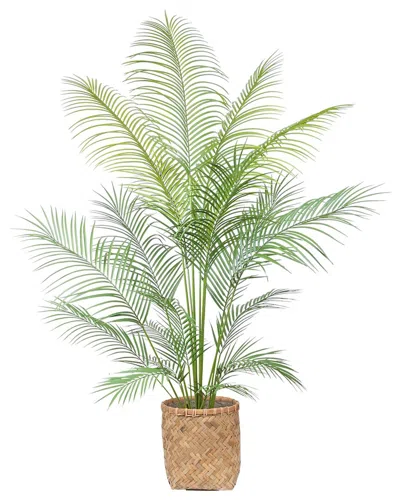 Creative Displays 5.5ft Outdoor Uv-rated Kentia Palm Drop-in Tree With Bamboo-wrapped Cement Pot In Green