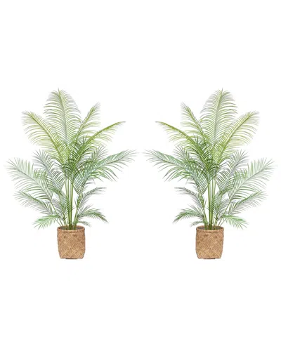 Creative Displays 5.5ft Outdoor Uv-rated Kentia Palm Drop-in Trees With Bamboo-wrapped Cement Pots In Green