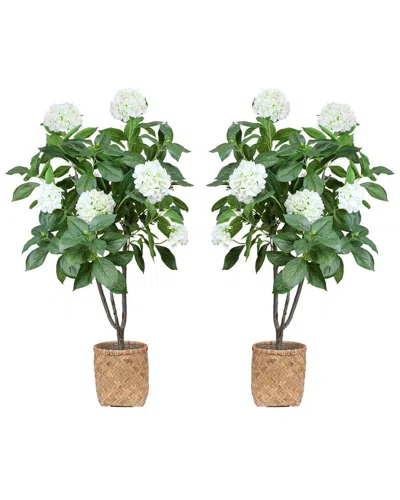 Creative Displays 5ft Hydrangea Drop-in Trees With Bamboo-wrapped Cement Pots In Green