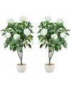 Creative Displays 5ft Hydrangea Drop-in Trees With Ceramic Pots In White