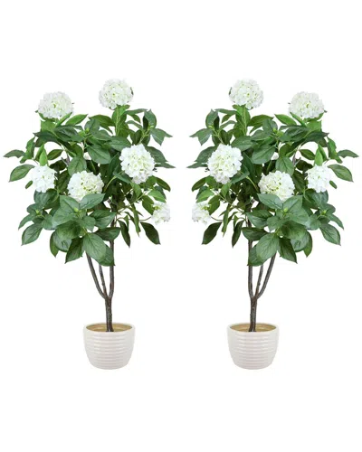 Creative Displays 5ft Hydrangea Drop-in Trees With Ceramic Pots In White