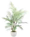 Creative Displays 5ft Kentia Palm Drop-in Tree With Ceramic Pot In Green
