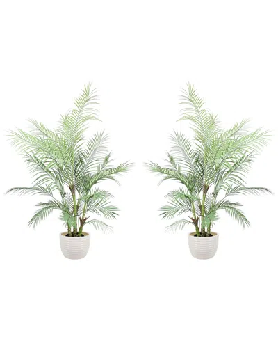 Creative Displays 5ft Kentia Palm Drop-in Trees With Ceramic Pots In White