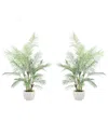 Creative Displays 5ft Kentia Palm Drop-in Trees With Ceramic Pots In White