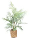 Creative Displays 5ft Outdoor Uv-rated Kentia Palm Drop-in Tree With Bamboo-wrapped Cement Pot In Neutral