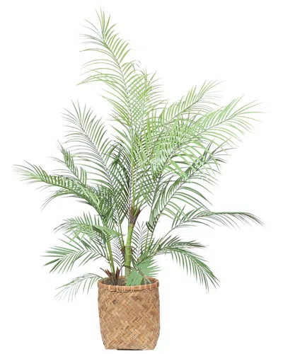CREATIVE DISPLAYS CREATIVE DISPLAYS 5FT OUTDOOR UV-RATED KENTIA PALM DROP-IN TREE WITH BAMBOO-WRAPPED CEMENT POT