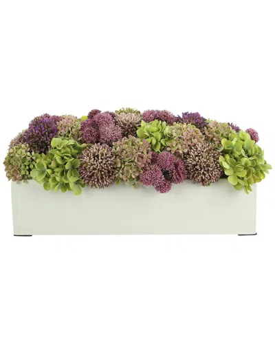 CREATIVE DISPLAYS CREATIVE DISPLAYS ALLIUM & HYDRANGEA IN RECTANGULAR PLANTER