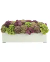 Creative Displays Allium & Hydrangea In Rectangular Planter In Pink