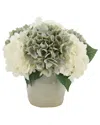 Creative Displays And Hydrangeas In Ceramic Vase In Multi