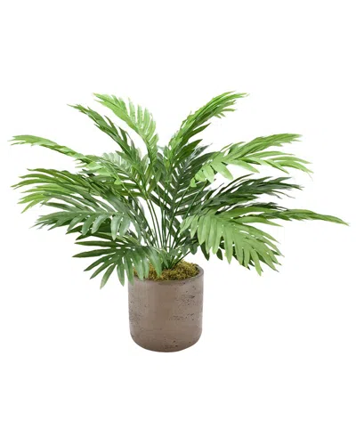 Creative Displays Areca Palm In A Brown Fiberstone Pot In Neutral