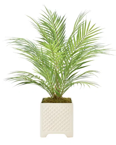 Creative Displays Areca Palm Plant In Green